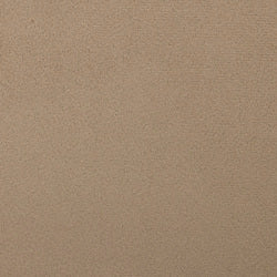 Variant color - Biscotti Beige (715)