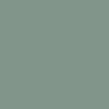 Product variant - Tea Green (355)